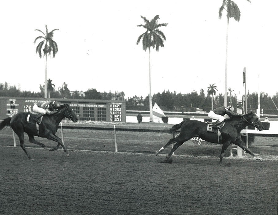 Alydar wines the 1978 Florida Derby. Photo courtesy of Jim Raftery