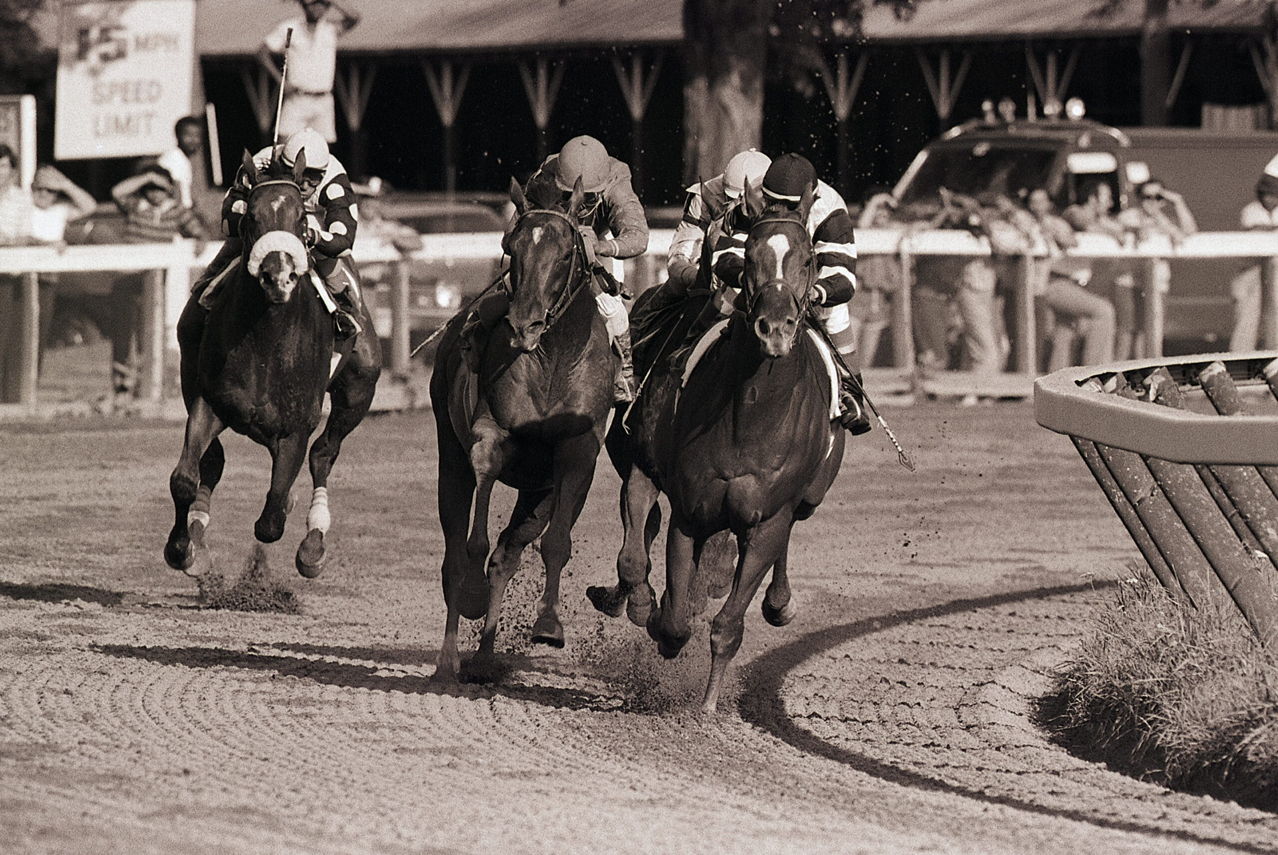 Affirmed and Alydar, in another of their furious match races, are neck and neck in the fourth turn at Saratoga Race Track, during the running of the Travers Stakes. Affirmed crossed the finish line first, but victory was awarded Alydar because of a bumping incident in the back stretch.