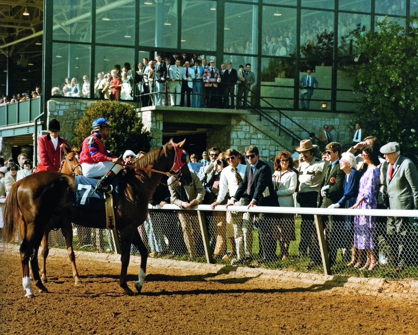 Alydar bows to the Markeys before the 1978 Blue Grass Stakes. Photo courtesy of Keeneland Library.