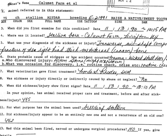 Lynda Stewart's "Veterinarian's Report" dated November 20, 1990.