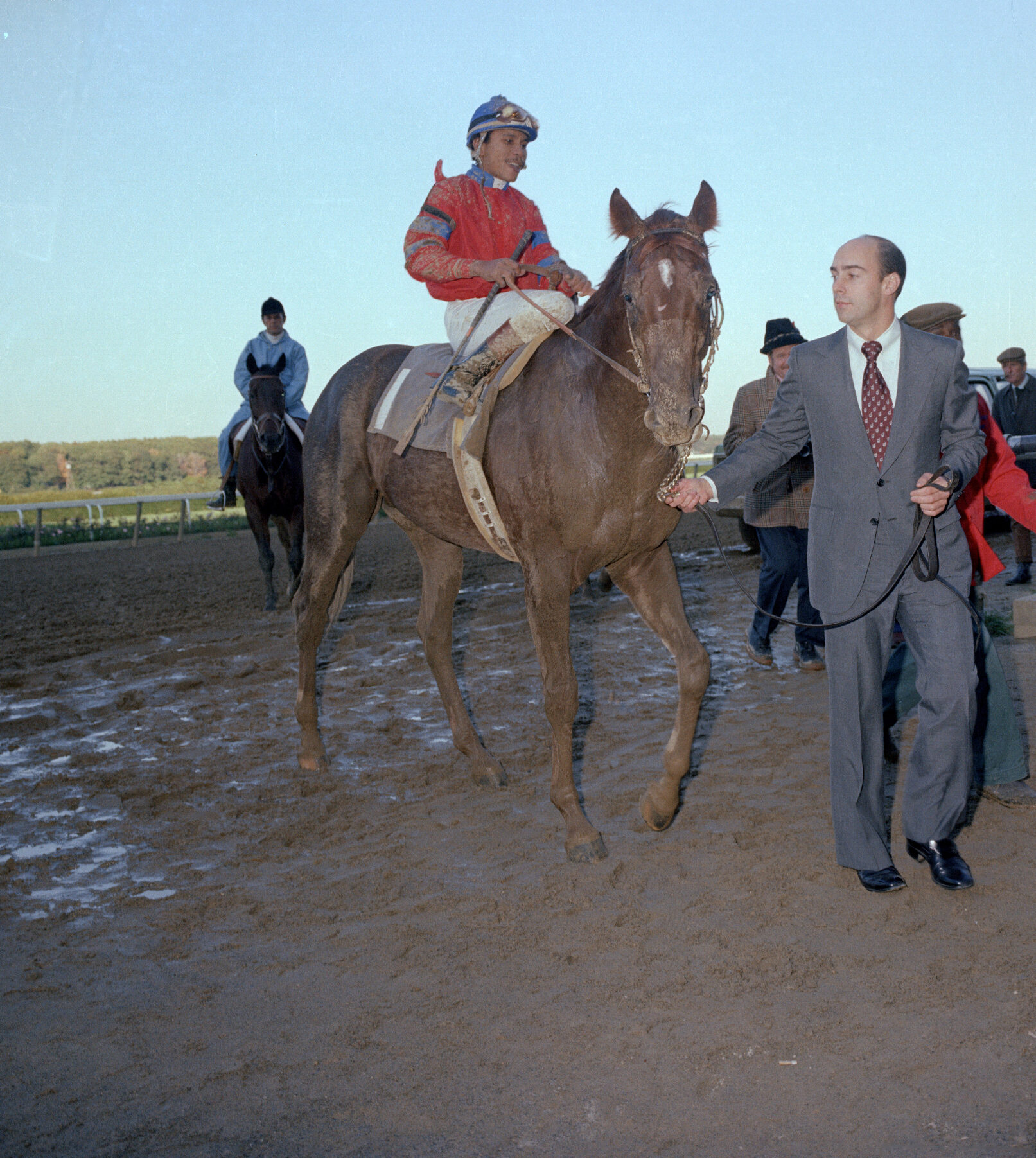 A muddy Alydar after winning the Champagne Stakes being led from the track by trainer John Veitch. Photo courtesy of Bob Conglianese.